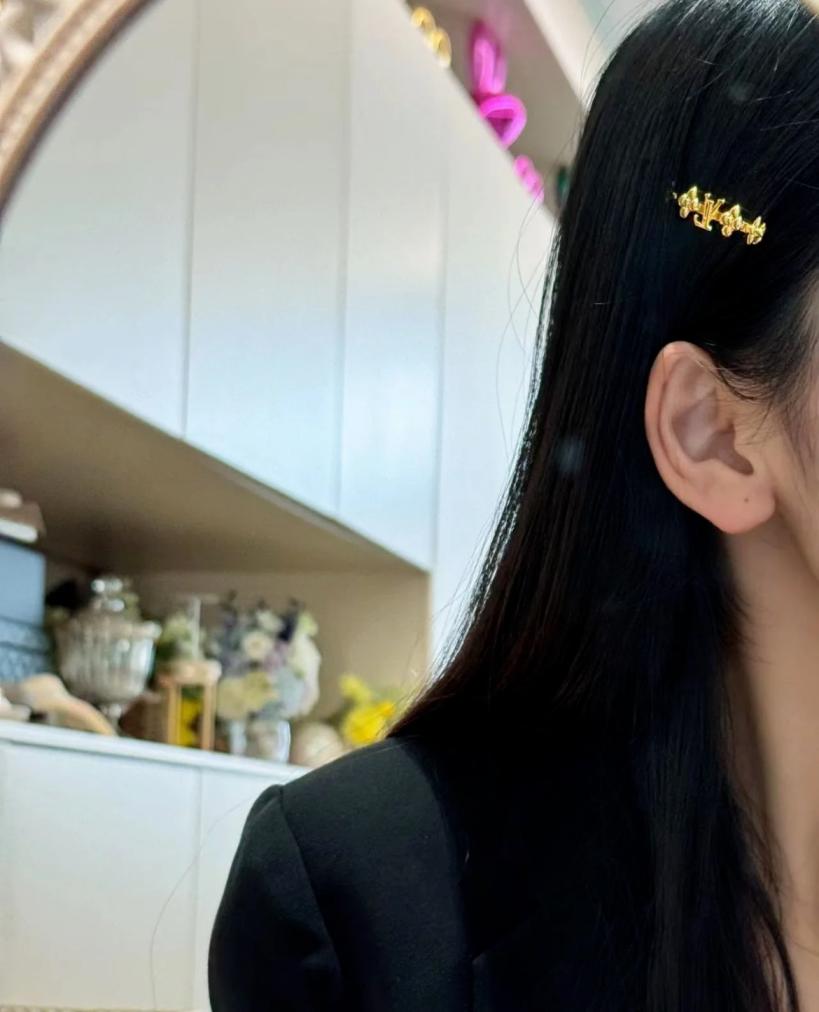 FS7037 LV hairclip