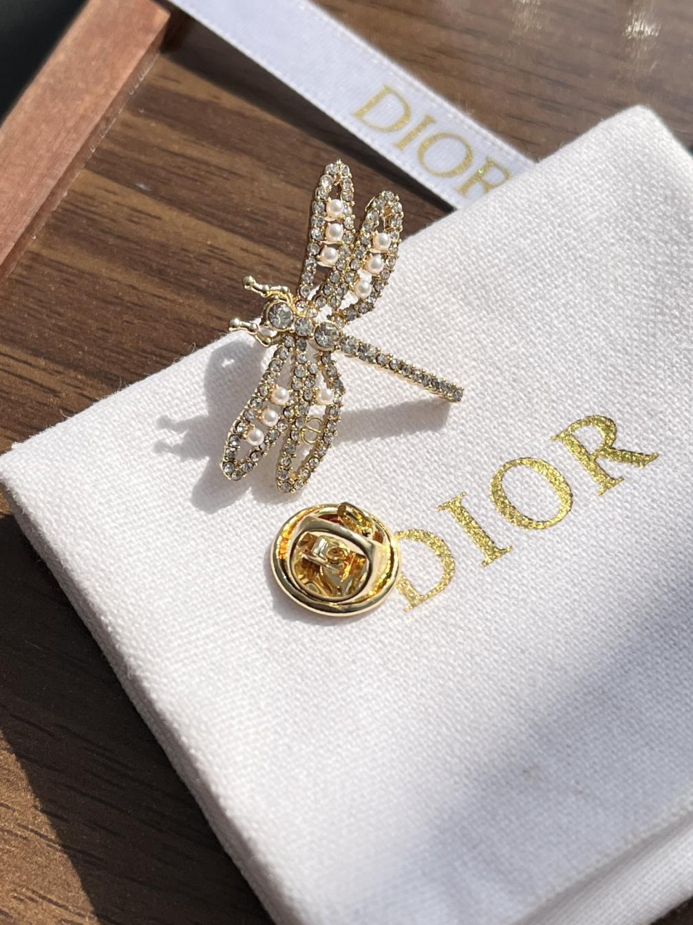 D177 Dior dragonfly brooch
