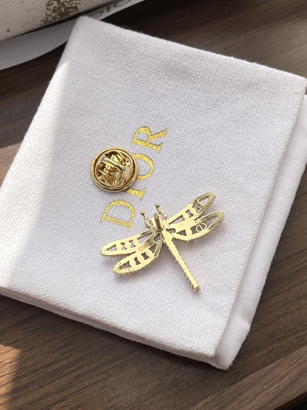 D177 Dior dragonfly brooch