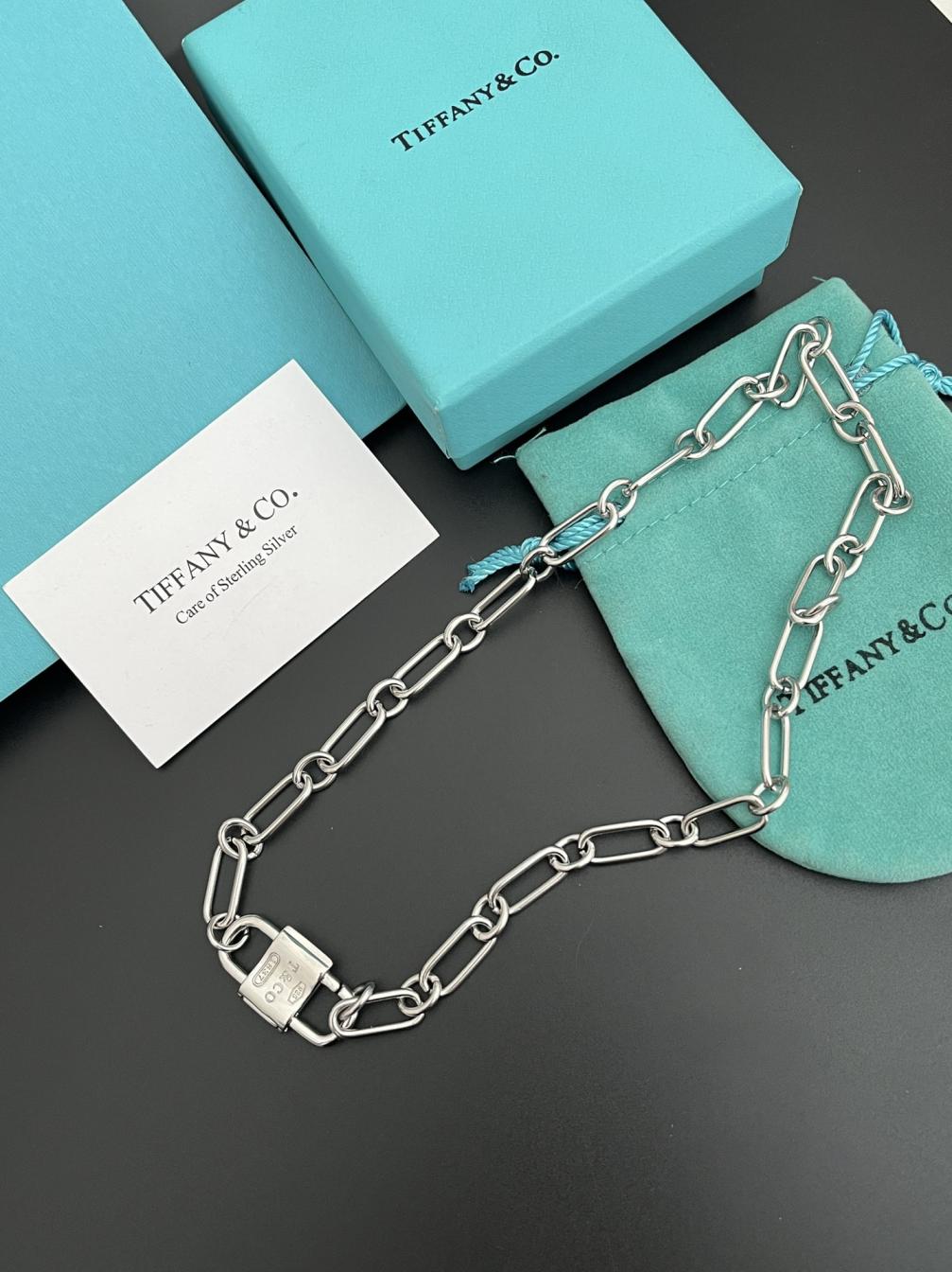 X655 Tiffany Large link necklace
