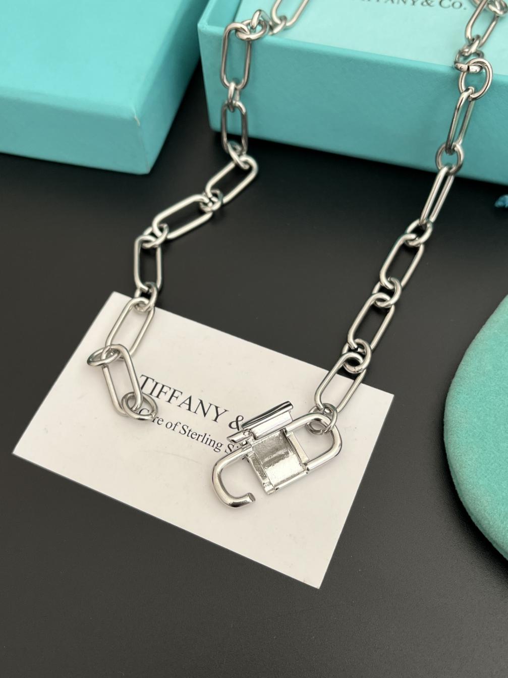 X655 Tiffany Large link necklace