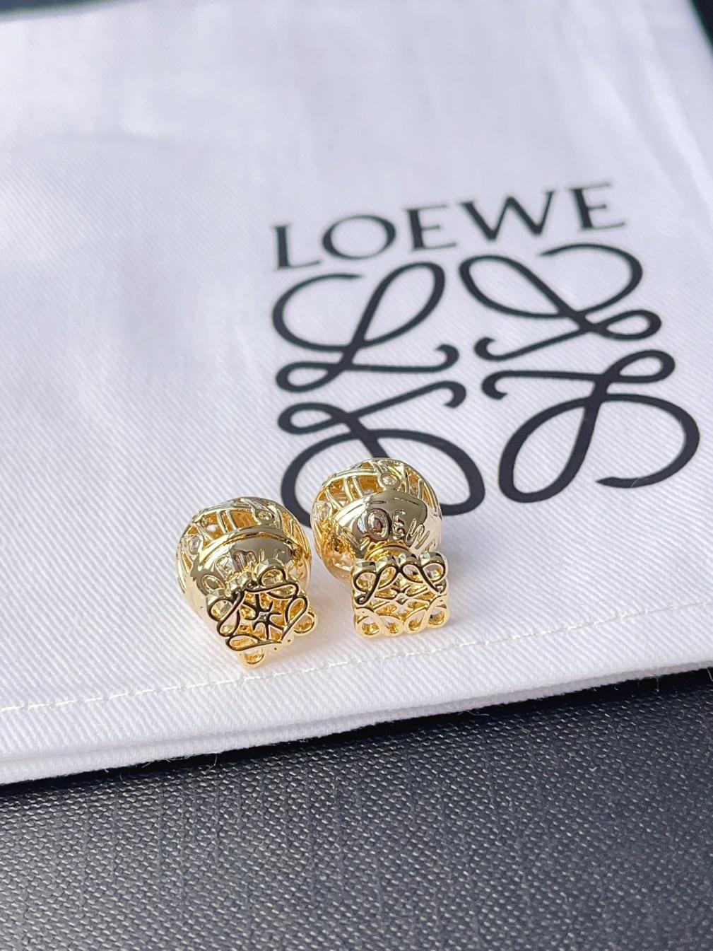 A1104 Loewe earrings