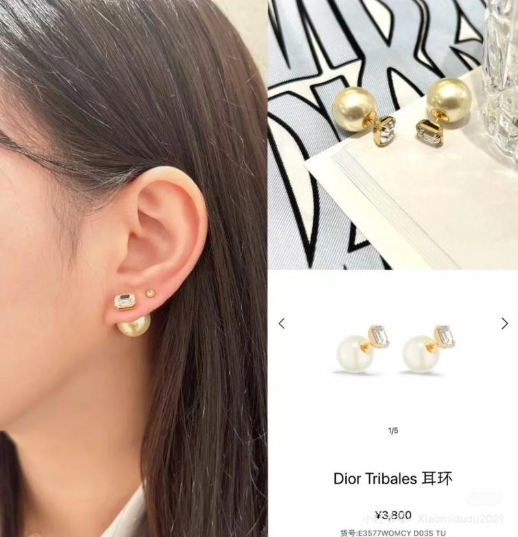 A757 Dior earrings