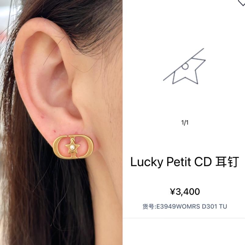 A1120 Dior CD earrings