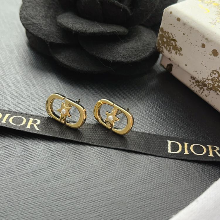 A1120 Dior CD earrings