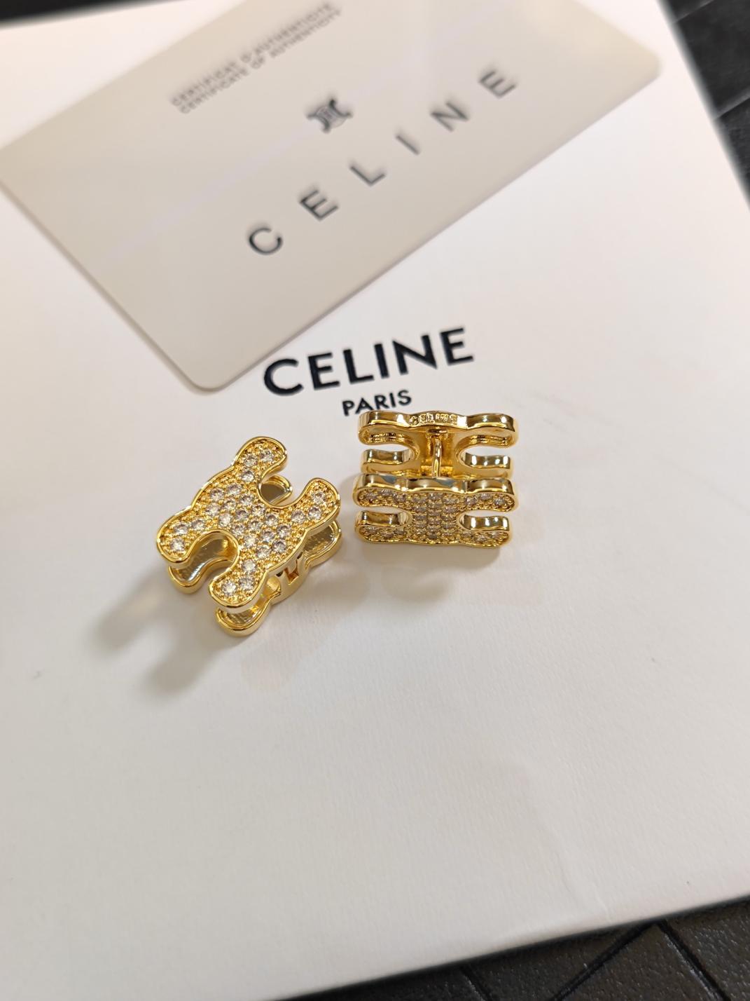 A1733  celine earrings