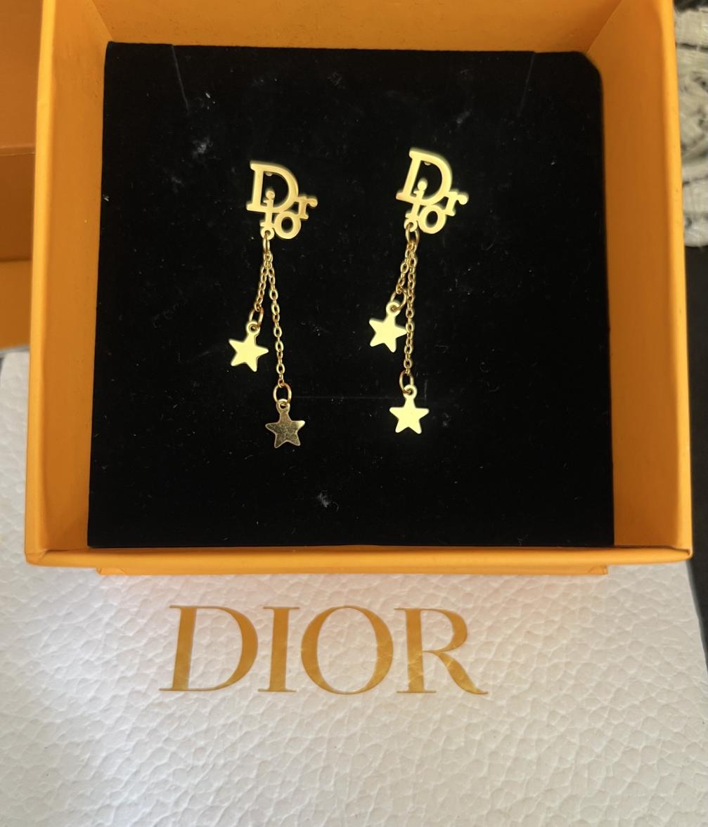 Dior Titanium steel earrings 116431