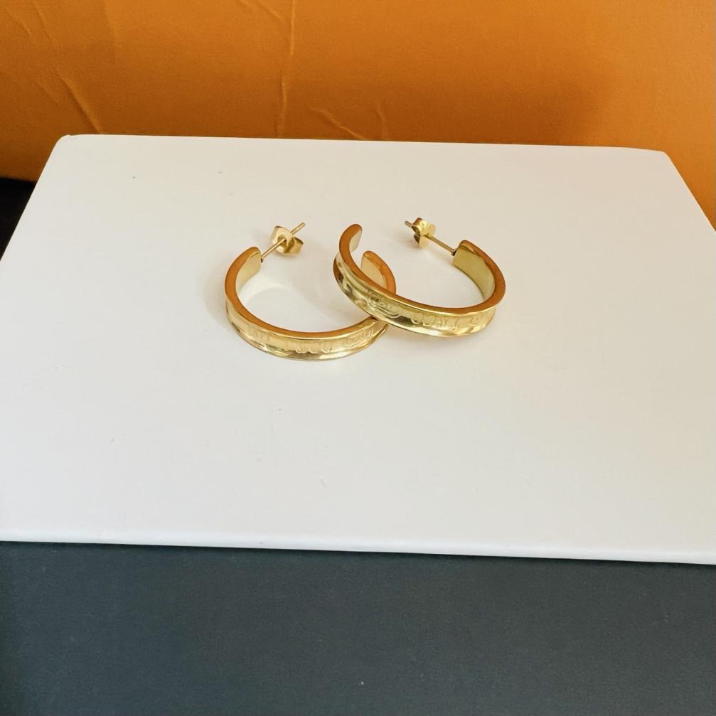 Tiffany co Titanium steel earrings 116423