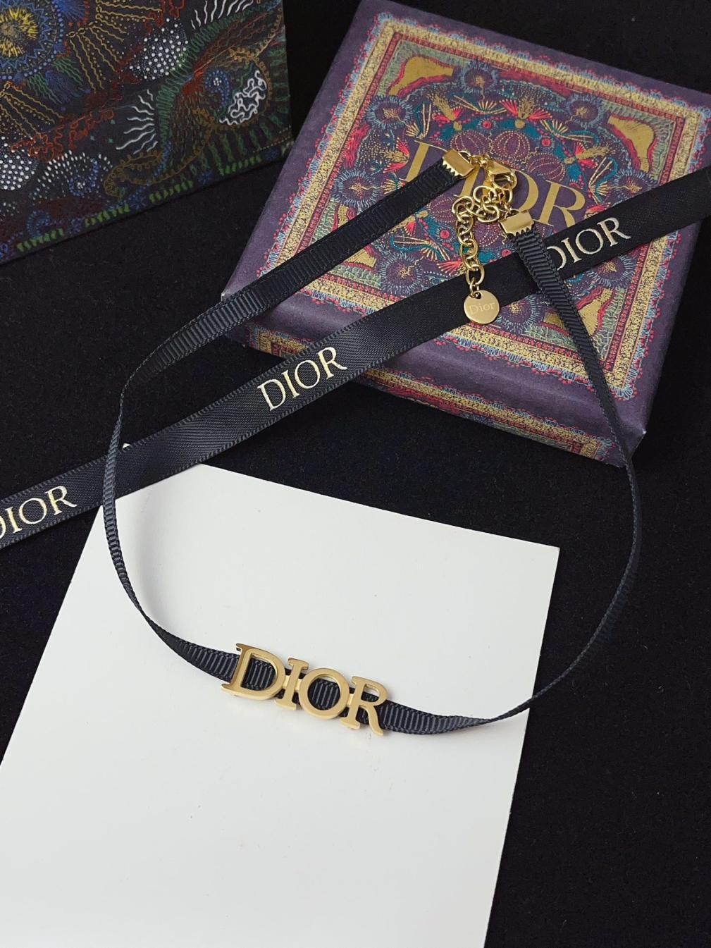 X696 Dior titanium steel choker necklace