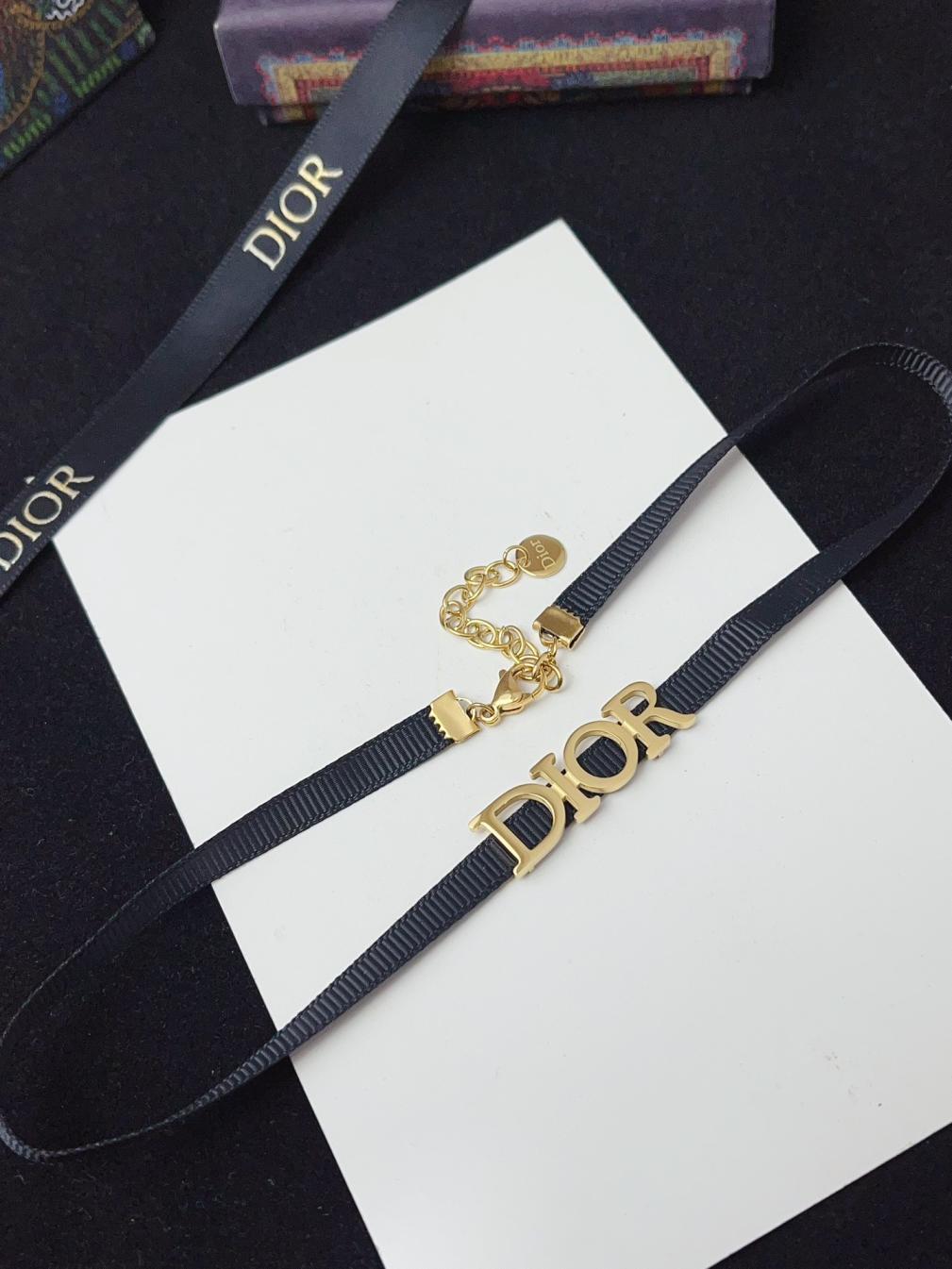 X696 Dior titanium steel choker necklace