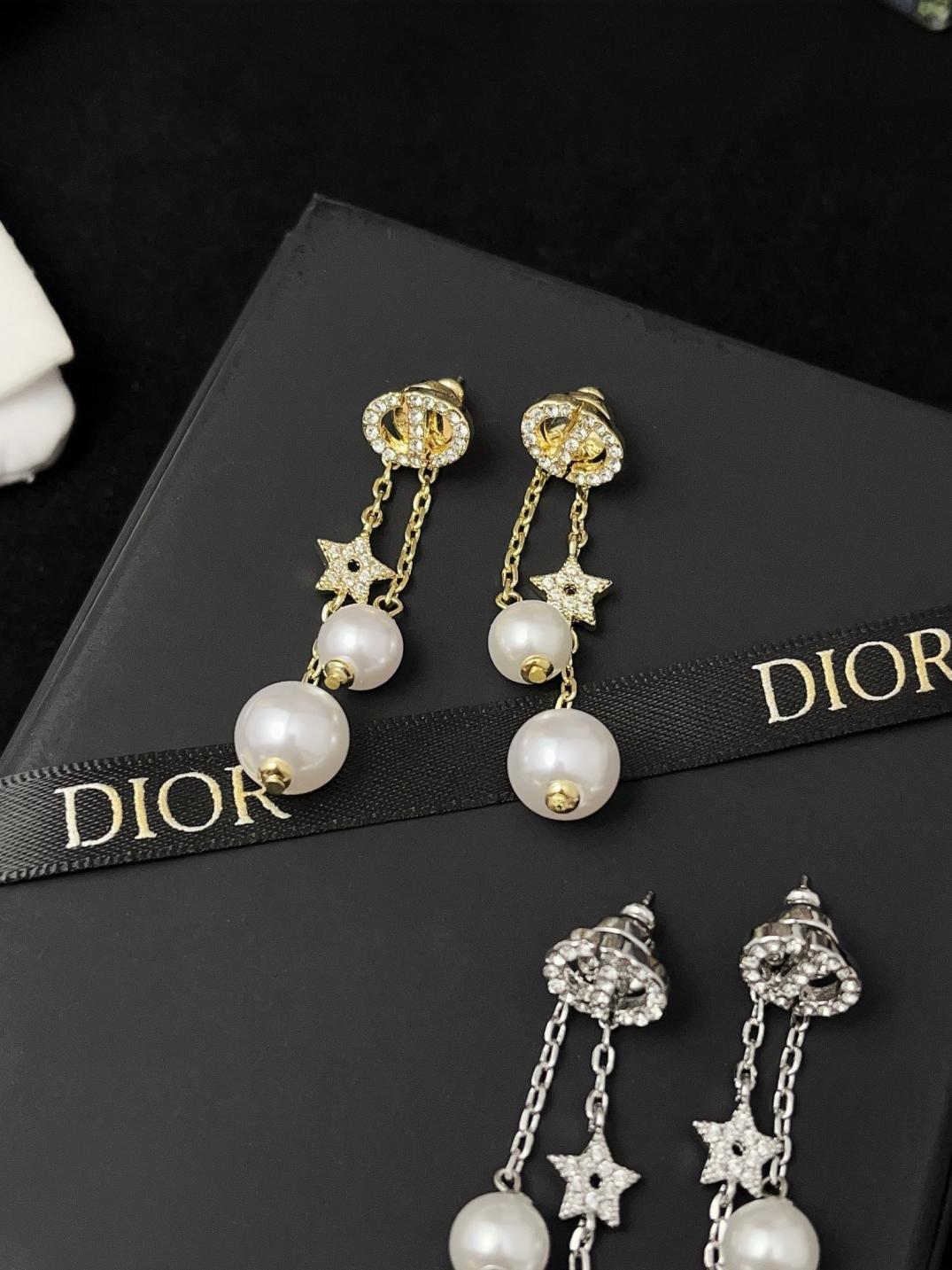 A1170 Dior earrings