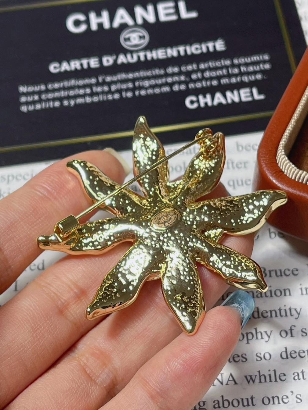 D191 Chanel cc brooch
