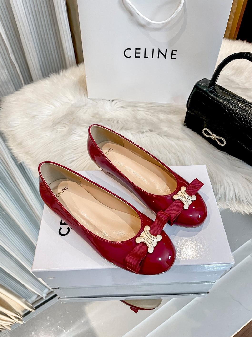 Celine flat leather shoes 135430